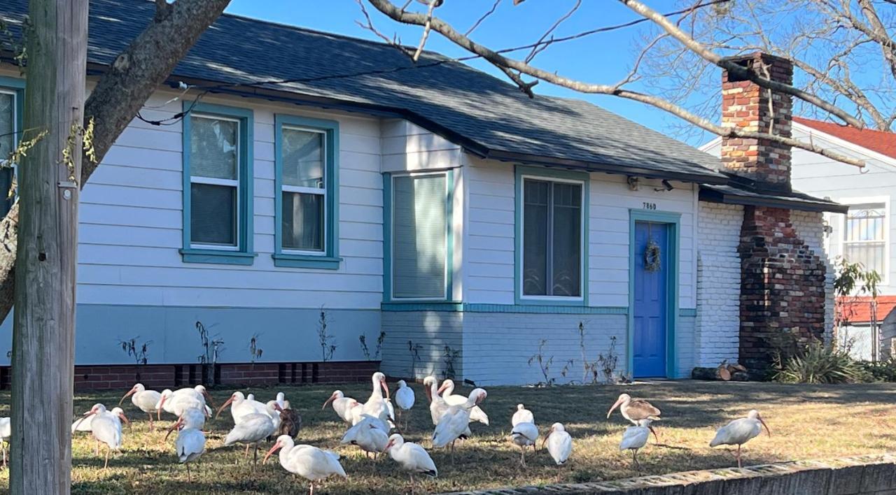 Pool Home Sleeps 6 With Large Fenced Yard Τζάκσονβιλ Εξωτερικό φωτογραφία